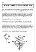 Vorschau - Arbeitsblätter - Pflanzenwachstum Klasse 5/6: Warum Pflanzen im Frühling blühen - Seite 2