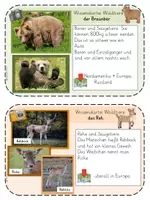 Vorschau - Stationenlernen - Wissenskartei zu 12x Waldtieren - Seite 2