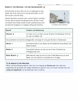 Vorschau - Unterrichtsreihen - Stationenlernen Islam (Klasse 5/6/7/8) – Komplettpaket: Aufgaben, Lösungen & Lehrer-Guide - Seite 3