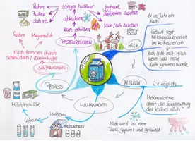 Vorschau - Merkblätter - MindMap Milch - Seite 2