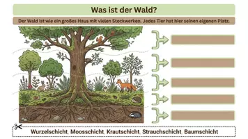 Vorschau - Unterrichtsreihen - Wald-Forscherheft: Tiere & Lebensraum Wald - Sachunterricht Klasse 2 - Seite 2
