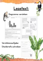 Vorschau - Arbeitsblätter - Lesetext - Diagramme verstehen, Steckbriefe erstellen - Deckblatt