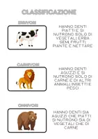 anteprima - Esercizi - Alla scoperta degli animali: erbivori, carnivori e onnivori - Pagina 1