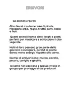 anteprima - Esercizi - Alla scoperta degli animali: erbivori, carnivori e onnivori - Pagina 2