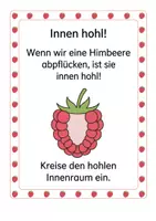 Vorschau - Arbeitsblätter - Alles rund um die Himbeere – Wissens‑ & Mitmachheft (Kindergarten – 1. Klasse) - Seite 3