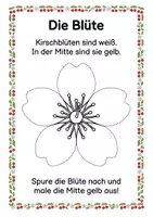 Vorschau - Arbeitsblätter - Alles rund um die Kirsche – Wissens- & Mitmachheft (Kita – 1. Klasse) - Seite 3