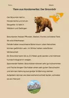 Vorschau - Arbeitsblätter - Tier-Steckbriefe Nordamerika - Seite 3