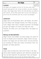 Vorschau - Arbeitsblätter - Sachtexte Ameise, Lesekompetenz, differenziert mit Fragen & Steckbrief, Deutsch Klasse 3 & 4 - Seite 2