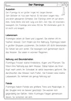 Vorschau - Arbeitsblätter - Sachtexte Tiere, wachsendes Materialpaket, Leseverständnis differenziert, Fragen und Steckbrief, Deutsch Klasse 3, Klasse 4 - Seite 3