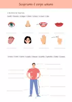 Vorschau - Arbeitsblätter - Der Körper / il corpo + Präpositionen (italienisch/italiano) - Seite 1
