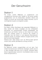 Vorschau - Stationenlernen - Die 5 Sinne Stationsarbeit - Seite 3