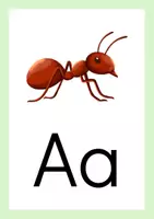 Vorschau - Poster - Anlautkarten für das Klassenzimmer passend zum Karibu (Druckschrift) - Seite 1