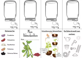 Vorschau - Arbeitsblätter - Die Bohne Faltbüchlein - Deckblatt