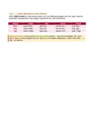Vorschau - Arbeitsblätter - DaZ: Adjektivdeklination | Niveau A2/B1 | Klasse 7–10 | differenziert | stark schwach gemischt | alle 3 Typen & 3 Kasus - Seite 2