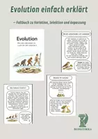 Vorschau - Merkblätter - Evolution einfach erklärt – Faltbuch zu Variation, Selektion und Anpassung - Deckblatt