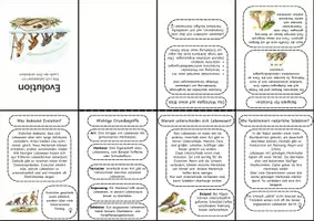 Vorschau - Merkblätter - Evolution einfach erklärt – Faltbuch zu Variation, Selektion und Anpassung - Seite 1