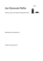 Vorschau - Arbeitsblätter - 8 Experimente (Physik, Chemie, Sachunterricht) - Seite 1