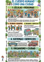 Vista previa - Otros - EL CUERPO HUMANO COMO UNA CIUDAD @es20ther - página 1