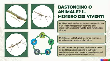 anteprima - Esercizi - la Vita sulla Terra_KIT MULTIMODALE SCIENZE_1°media - Pagina 3