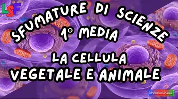 anteprima - Esercizi - Cellule Vegetali e Animali_KIT MULTIMODALE SCIENZE_1°media - Pagina di copertina