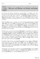Vorschau - Arbeitsblätter - Lesen üben: Leseverstehen & Leseverständnis Herbst – 3 Texte mit Aufgaben & Lösungen (Klasse 3–4) - Seite 2
