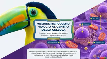 anteprima - Esercizi - Cellule Vegetali e Animali_KIT MULTIMODALE SCIENZE_1°media - Pagina 2