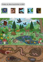 Vorschau - Arbeitsblätter - Wimmelbild zum Thema Regenwurm und Wald - Seite 3