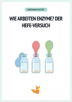 Vorschau - Arbeitsblätter - XL Materialpaket - Ernährung & Lebensmittel Experimente Arbeitsblätter - Seite 1