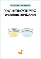 Vorschau - Arbeitsblätter - Denaturierung von Eiweiß – Was passiert beim Kochen? - Deckblatt