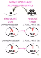 anteprima - Materiale di supporto/inclusione - NOMI COMPLETO DI REGOLE BASE E SCHEDE - Pagina 1
