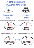 anteprima - Materiale di supporto/inclusione - NOMI COMPLETO DI REGOLE BASE E SCHEDE - Pagina 2