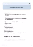 Vorschau - Arbeitsblätter - Arbeitsblatt Wirkungsketten analysieren Wirtschaftspolitik Konjunktur - Deckblatt
