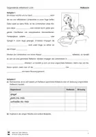 Vorschau - Stundenentwürfe - Optik Reflexion - Physik - Seite 1