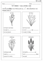 Vorschau - Arbeitsblätter - Frühblüher - Lesen, schreiben, malen (Sachunterricht) - Seite 1