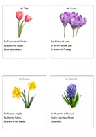 Vorschau - Arbeitsblätter - Frühblüher - Lesen, schreiben, malen (Sachunterricht) - Seite 3