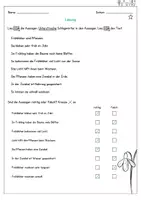 Vorschau - Arbeitsblätter - Frühblüher - Warum Frühblüher früh blühen (Sachunterricht) - Seite 3