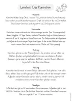 Vorschau - Arbeitsblätter - Haustiere - Lesetexte / Sachtexte mit Steckbrief-Vorlagen (2./3. Klasse) - Seite 3