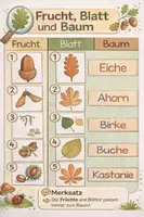 Vorschau - Stundenentwürfe - Lernzettel Sachunterricht- Unsere Bäume und ihre Blätter und Früchte - Deckblatt