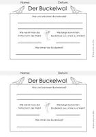 Vorschau - Arbeitsblätter - Infotext, Kartei und Arbeitsblatt - Der Buckelwal / Buckelwale - Seite 3