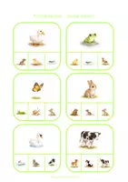 Voorbeeld - Knijpkaarten - Jonge dieren - Pagina 1