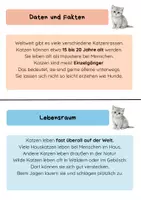 Vorschau - Arbeitsblätter - Haustier Katze - Infokarten und Steckbrief - Seite 1