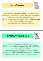 Vorschau - Arbeitsblätter - Haustier Katze - Infokarten und Steckbrief - Seite 3