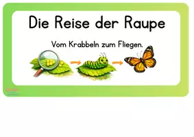 Vorschau - Präsentationen/Tafelbilder - Schmetterlinge Projekt: Wir züchten unsere Schmetterlinge. Grundschule Klasse 1-4 (Tafelmaterial) - Seite 3