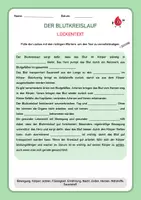 Vorschau - Stundenentwürfe - Der Blutkreislauf - Biologie & Sachkunde - 90 Min. Einheit 5.-7.Klasse - Seite 1