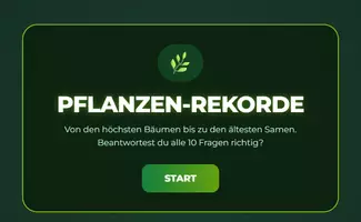 Vorschau - Spiele - Millionär - Pflanzen-Giganten - Seite 1