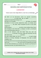 Vorschau - Stundenentwürfe - Gehirn & Nervensystem - Biologie & Sachunterricht - 90 Min. Einheit - Seite 1