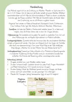 Vorschau - Unterrichtsreihen - Waldtiere - Wildtiere: Plakat erstellen (2./3./4. Klasse) - Seite 1