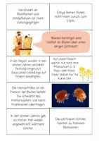 Vorschau - Arbeitsblätter - MYSTERY – RÄTSEL DER VERSCHWUNDENEN BIENEN - Seite 2