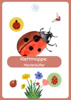 Vorschau - Stationenlernen - Klettmappe Marienkäfer - Deckblatt