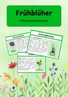 Vorschau - Arbeitsblätter - Frühblüher – liebevoll gestaltete Informationskarten für den Sachunterricht - Deckblatt